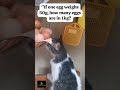 #mathsquestion