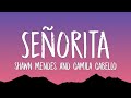 Shawn Mendes Camila Cabello Señorita Lyrics