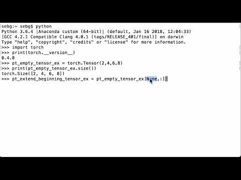 Add A New Dimension To The Beginning Of A Tensor In PyTorch