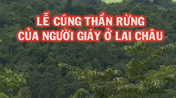 Khám phá Lai Châu | Lễ cúng thần rừng của người Giáy