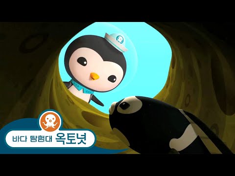 바다 탐험대 옥토넛 - <strong>죄수</strong> 베도라치 구출 - 모음집