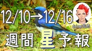 【今週の星占い】自分自身に誠実に！【週間星予報】12/10〜12/16