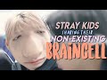 stray kids sharing their non-existing braincell