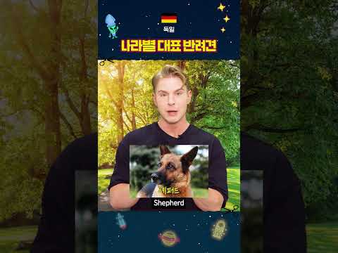 댕댕이가 세상을 구한다! 나라별 대표 반려견은? #외국인반응