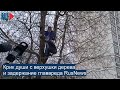 ⭕️ Крик души с дерева у суда над Навальным