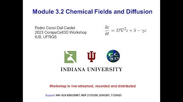 CC3D WS Module 3.2 Secretion & Adsorption [Pedro Castel] August 3, 2023