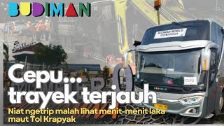 TRIP REPORT || Tasik - Cepu Budiman Bus. Only one bus a day