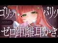 【ASMR/耳かき】ゼロ距離耳かきお試しコース【VTuber/耳かきボイス /こりす】