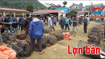 Mộc Mạc chợ phiên MUỔI NỌI - SƠN LA bán toàn đặc sản Tây Bắc | Tôi Người Vùng Cao