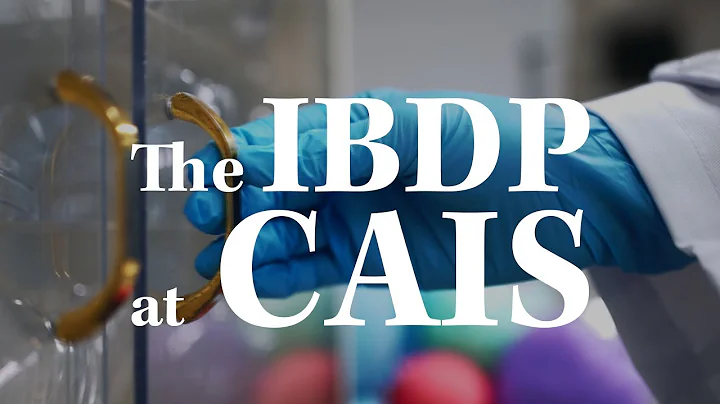 The IBDP at CAIS