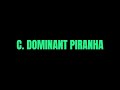 C. Dominant Piranha | Codeforces Round 677 (Div. 3) | In Bangla
