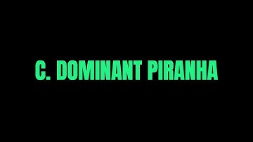 C. Dominant Piranha | Codeforces Round 677 (Div. 3) | In Bangla