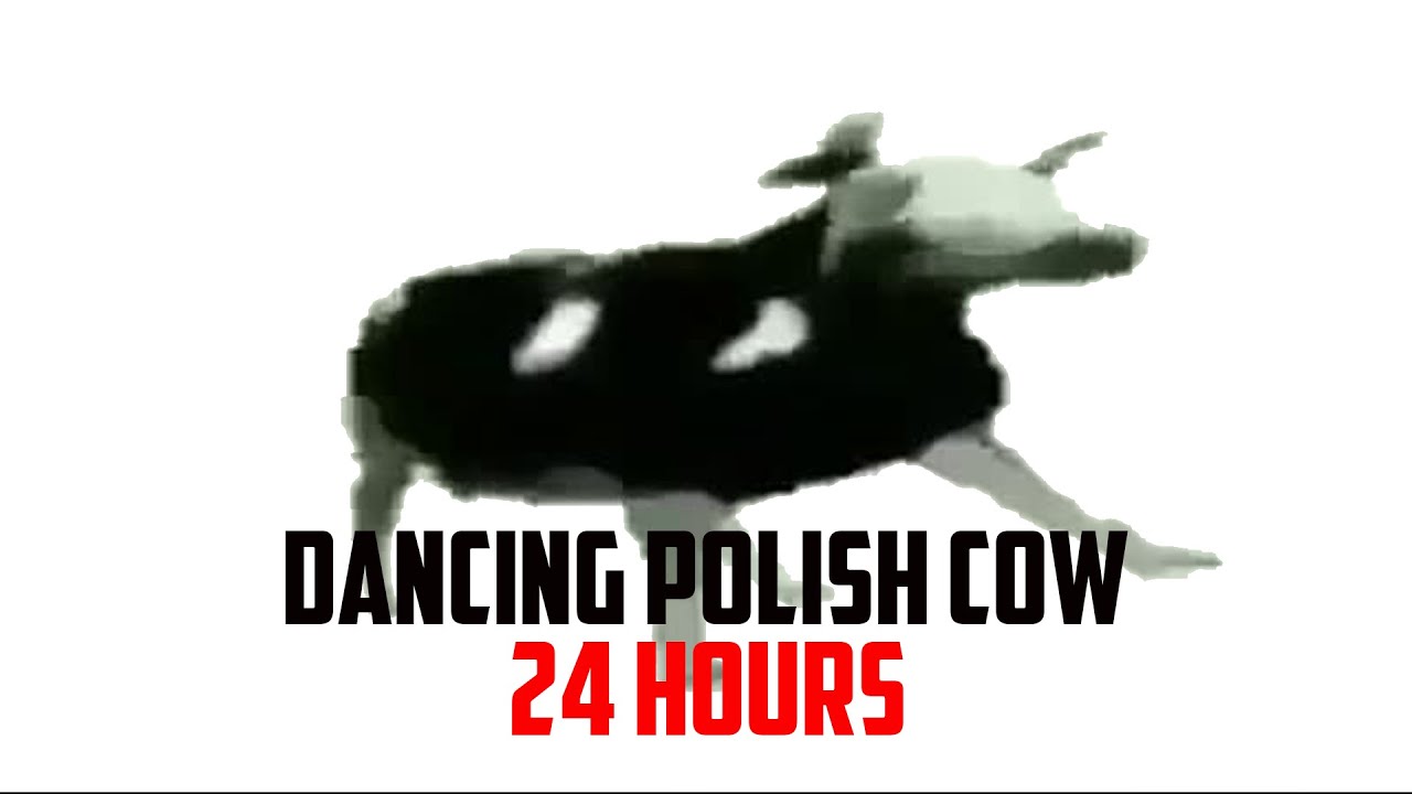 Polish cow текст. Польская корова Мем. Корова танцует 24 часа.