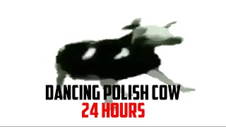 Dancing Polish Cow 24 Hours