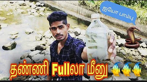 குளத்தில் மீன் வேட்டை | Traditional Fishing &  Pond | Fish Hunting | Fish Catching in Pond