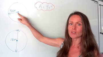 De wiskundeprofessor: Oppervlakte van een cirkel