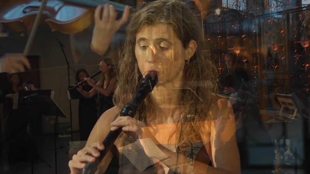 Telemann: Concerto g-Moll 