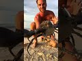 Giant Mudcrab for Dinner 🦀 🔥