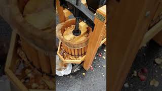 Apple Cider making day🍎