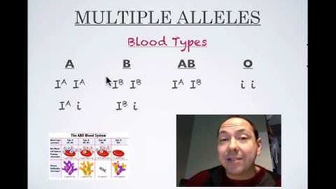 Multiple Allele Review