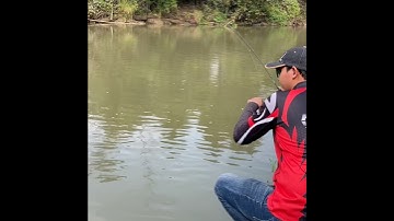 Câu lure cá suối bằng cá sắt #fishing