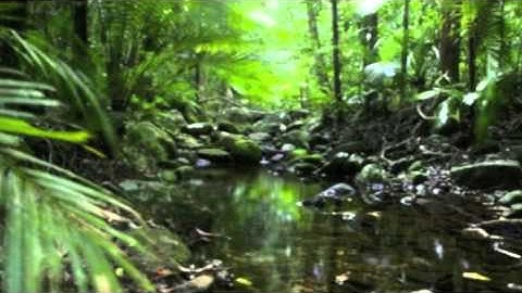 music tech coursework task 3 C And One Is All