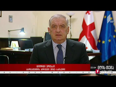 ოპოზიციის სამოქმედო გეგმა - „დღის თემის“ შეკითხვებს გიორგი ვოლსკიმ უპასუხა