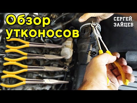 Утконосы плоскогубцы -