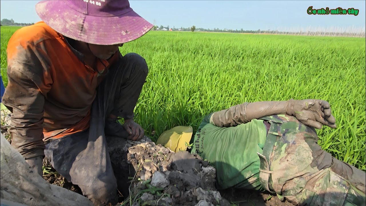 Săn Bắt Theo Hang Sâu Truy Lùng Cá To_Cá Nổ Muối Hột Kèm Rau Tần Ô Muối Ớt Ngon Tuyệt| ONMT #Tập 198