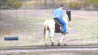 twh1