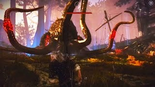 Kayran On Hard - No Damage The Witcher 2