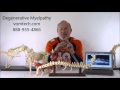 What is Degenerative Myelopathy in the Dog?