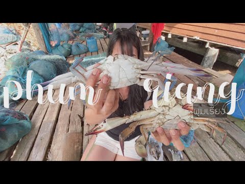 สุราษฎร์ธานี EP.1 พุมเรียงเมืองเก่า 🙏🏼 | unnie story