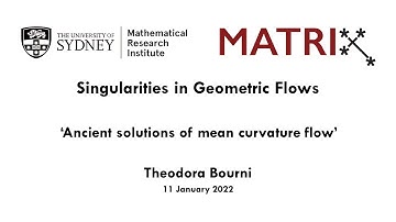 Theodora Bourni: Ancient solutions of mean curvature flow