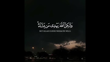 ما تيسر من سورة القصص/القارئ #رعد_الكردي