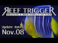 カリブ/ブルーエンゼル Sサイズ[F1108-2]REEF-TRIGGER
