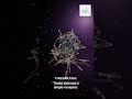 Most weight-loss drugs hit one hormone pathway. Tirzepatide is different