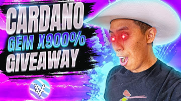 VyFinance CEO AMA - Cardano Gem x900%