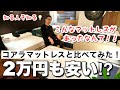 5万円以下の最強マットレスとコアラマットレスの違いとは？