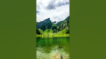 Thumbnail of 📣P1008252/so beautiful 🍀 #music #love #song #coversong #relaxing #trump