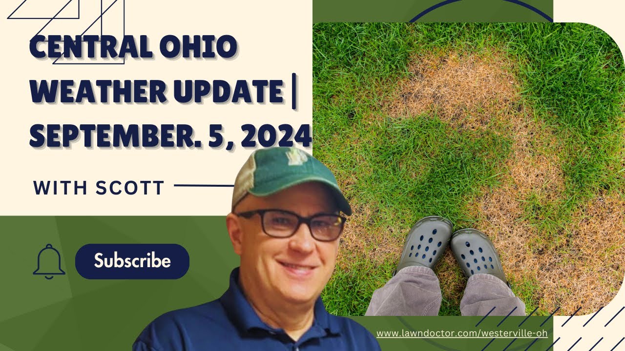 central-ohio-lawn-care-update-september-5-2024-battling-fungus