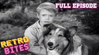 Lassie | Lassie's Decision | Full Episodes