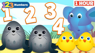 Numbers Learning | Educational Video for Toddlers | Counting Learning Activities | First University
