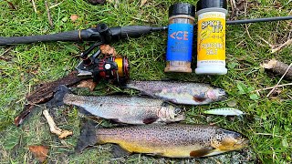Wild Trout Fishing and Cooking in the Mountains! by Ace Videos 330,842 views 1 year ago 32 minutes