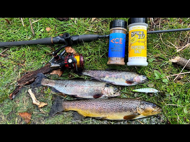 Wild Trout Fishing and Cooking in the Mountains! 