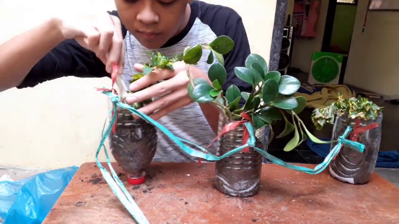 Kreasi Anak Membuat  Pot Gantung  dengan  Botol Bekas YouTube