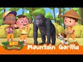 Mountain Gorilla | It's An Earthquake! Get To Safety! | Leo the Wildlife Ranger Season 2 | For Kids