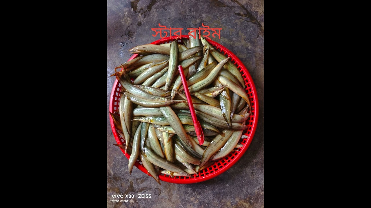 দেশি মাছ পরিচিতি। 