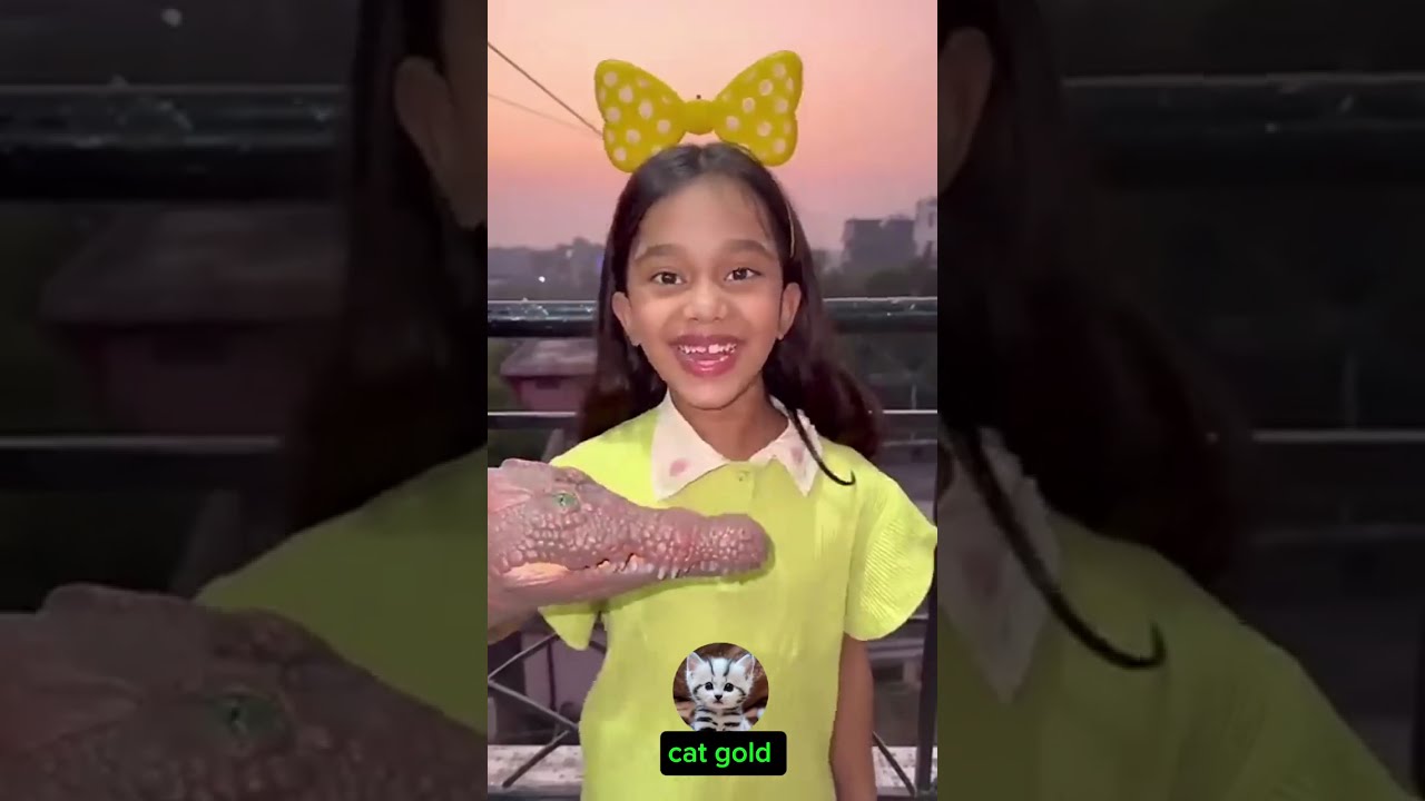 amaira ko chipkali de di || New funny video mix ||comedy video mix 2025 ||