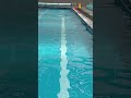 WhatsApp Video 2026 04 12 at 19 16 47